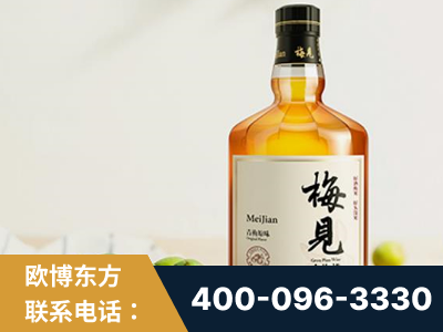 巴音郭楞蒙古-梅见青梅酒